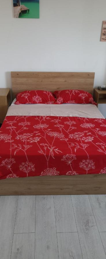 Self Check-in 22 Bulevardul Oltenia Apartment *